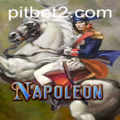 Unfolding the Strategic Card Game: Napoleon